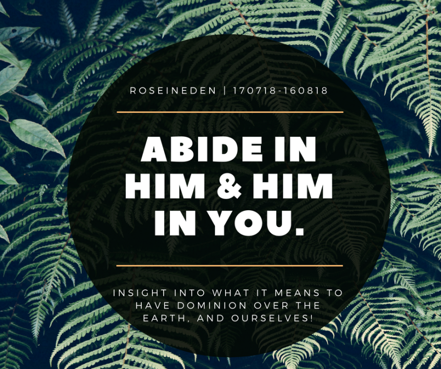 Abide in Him, and Him in You | Day Two